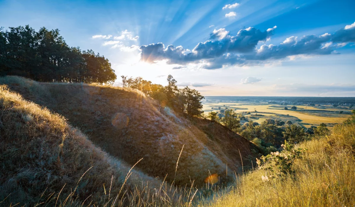 Tylko w tym wpisie dowiesz się jak profesjonalnie robić biznes