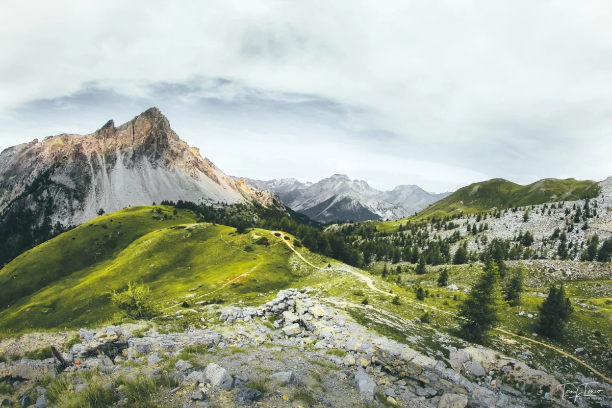 Czy warto kupić samochód do końca 2021