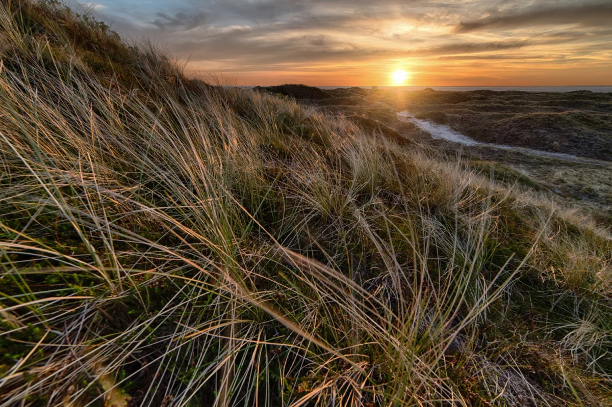 Krótko na temat zastosować zwyżek