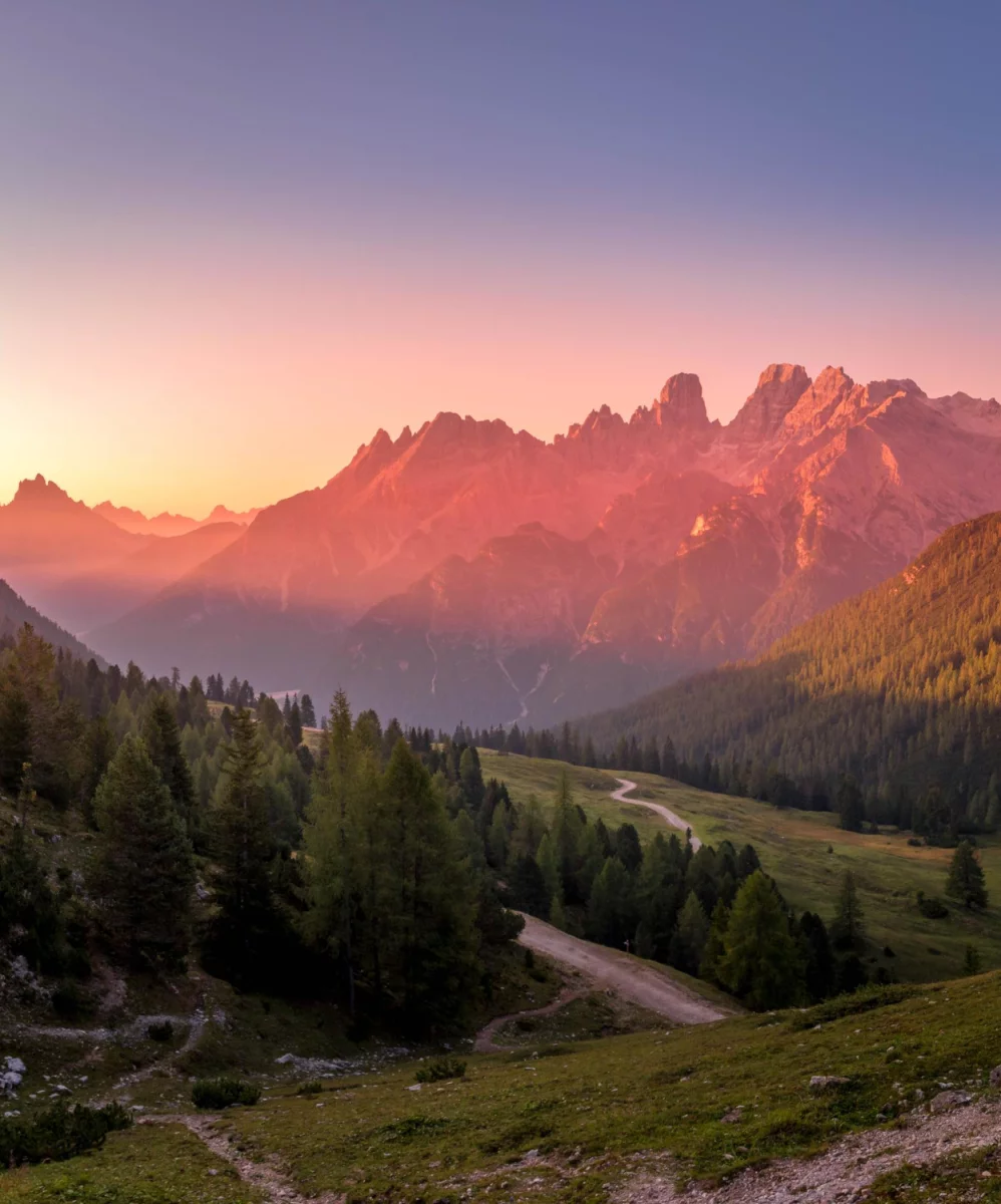 Teraz I Ty Też Możesz kupić artykuł sponsorowany Nawet Jeśli Nie Masz O Tym Zielonego Pojęcia