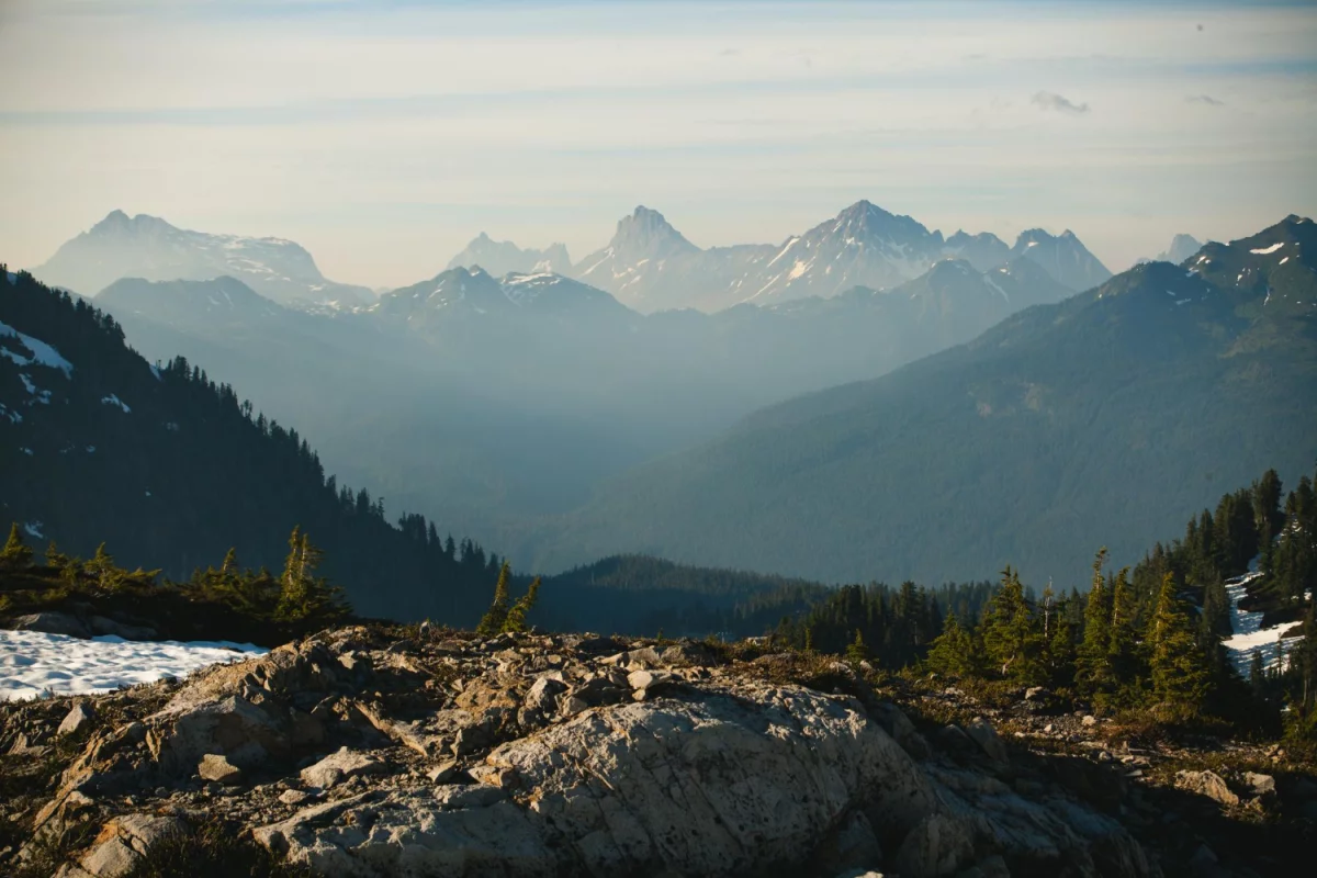 Do dentysty z nagłym bólem