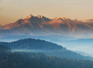 10 Wypowiedzi Ekspertów Na To Jak Oddać elektrośmiecie w Szczecinie