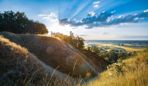 Nowe metody w 2021 jak lepiej  kupić samochód